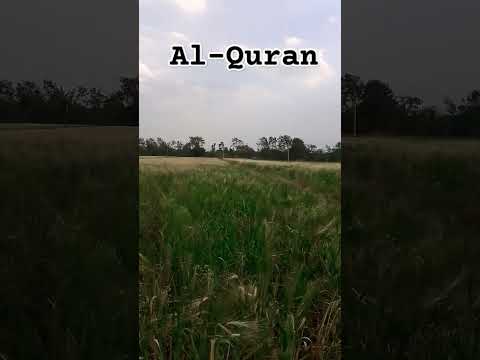 Al Quran Translation #qurantranlation #quran # ...