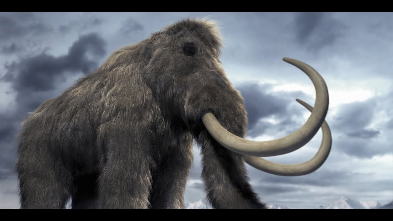 Amazing Life Mammoths Of The Ice Age Discovery Documentary 2015 HD ...