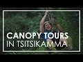 Tsitsikamma Canopy Tour Experience on Garden Route | Rhino Africa