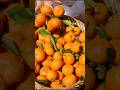 Orange fruit harvesting from haimabati farm with beautiful natural orange garden #shorts #farming