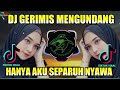 DJ HANYA AKU SEPARUH NYAWA X GERIMIS MENGUNDANG REMIX TIKTOK VIRAL TERBARU 2022