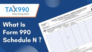 What Is Form 990 Schedule N?