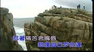 碎心戀~李茂山~男C調~伴奏~音樂~金嗓甲