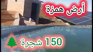 أرض همزة فيها 150 شجرة 🌲 هكتار و 300 متر بئر لسقي الكهرباء قريبة 0655914669