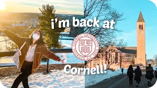 surprise! I’m back at Cornell! (international student @ US university)