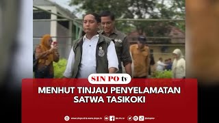 Menhut Tinjau Penyelamatan Satwa Tasikoki