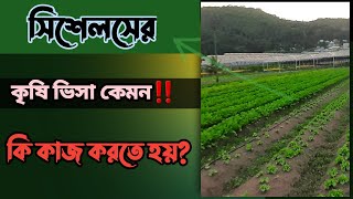 সিশেল দেশটির কৃষি ভিসা | দৈনিক কত ঘন্টা ডিওটি | বেতন কত | Agriculture | Seychelles | sharif hossain