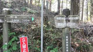 【双六師のぶらぶら一人旅】東海自然歩道　入鹿池～丸山池～善師野　2020.11.28