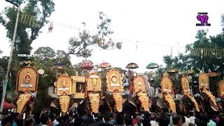 Vadanappally Pooram 2020