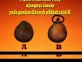 Tips atau cara memilih buah salak yang manis