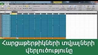 MS Excel-հարցաթերթիկների տվյալների վերլուծությունը