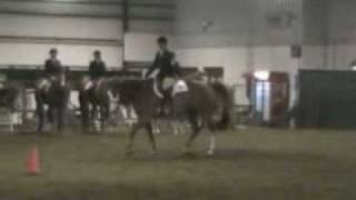 Stef and Junior - NA and Amateur Equitation - Good.wmv