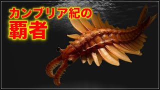 古代最強のアノマロカリスの謎と強さの理由に迫る！