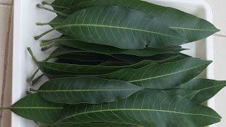 5 Type Natural Leaves Prabhavali/Kirita/Crown  Making for Varamahalakshmi Pooja