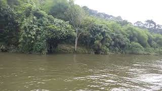 Sengulam dam boating 💚#munnar #boating #positivevibes #naturebeauty #dam #happy