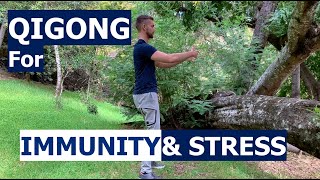 Qigong to Boost Immunity and Lower Stress - Zhan Zhuang - Natural Medicine for Immune Health