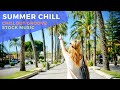 Summer Chill Music - Chillout Groove Music - MediaMusicNow