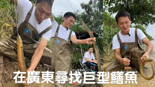 今天幫粉絲朋友在廣東尋找巨型鱔魚，結果會如何？#農村生活 #熱門#viralvideo #捕魚