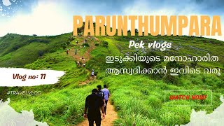 kuttikanam, Peermade,വഴി ഒരു parunthumpara  visit 2020|pek vlog11