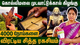 சித்தர்களின் ஓலைச்சுவடிகளை வைத்து மருந்து தயாரிக்கிறோம் : Mudavattukal Kilangu Powder Recipe