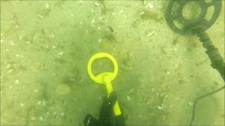 Scuba Diving with the Nokta-Makro Pulse Dive Metal Detector