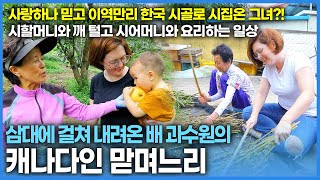 시할머니와 깨털고 어머니와 요리하며 사는 캐나다에서 한국 시골로 시집온 캐나다인 아내| 우리 동네 이방인