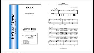 Storm (BL1139) by James M. DesJardins
