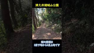 緑地あれこれ　津久井湖城山公園