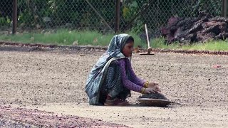 മരത്തണല്‍ പോലുമില്ല; കൊടും ചൂടില്‍ നട്ടുച്ച സമയത്ത് പണിയെടുക്കുന്ന അതിഥി തൊഴിലാളികള്‍ | Heat