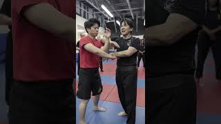 Wing Chun Chum Kiu Application #shorts