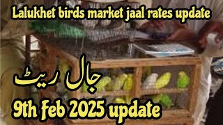 Sunday lalukhet birds market jaal rates update