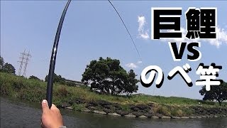 【のべコイ】　巨鯉にのべ竿で挑んで引きずられてみた　　MONSTER CARP  VS 8m Reelless Rod