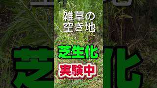 雑草地の自動芝生化。ロボから救助要請！ナニがあった？？