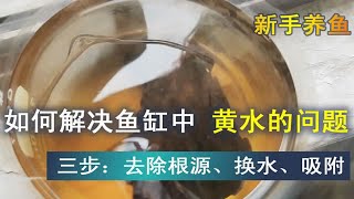 鱼缸中的水变黄了，是什么原因，简单三步去除黄水。