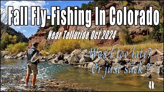 Fall Fly-Fishing Trip In Colorado Near Telluride | Was I too Late? | October 2024