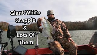 😯 GIANT CRAPPIE 😮 \u0026 Lots Of Them | Giant White Crappie 🔥 | Winter 🥶 Crappie Fishing