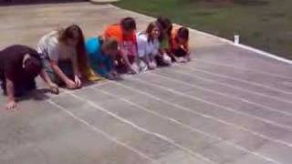 Frog Race