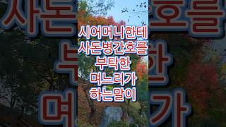 사돈병간호하는 시어머니에게 며느리가 하는말이