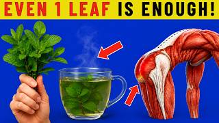 The #1 Leaf That Actually Works Better Than Medicine — Why Is This Being Hidden?