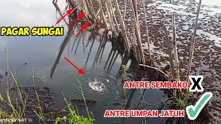 JIWA PEMANCING MANAPUN PASTI PENASARAN DENGAN SPOT MACAM INI..!!! #mancingliar