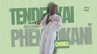 The African Apostolic Church: Chorus - Tendeukai/Phendukani