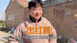 种18亩红薯正式出土，小伙高兴的炖小鸡请客，热闹的场景真美好