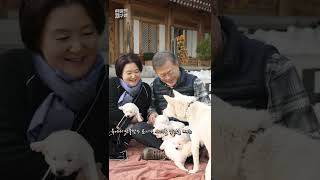 [현장의재구성] 문재인 대통령의 반려동물 사랑 #Shorts / 연합뉴스TV (YonhapnewsTV)