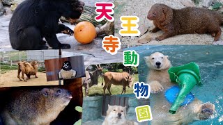 内容訂正後再アップ🙇【天王寺動物園早く再開できますようにホウちゃんはじめ仲間たち】ご長寿ラクダのジャック・メガネグマご夫妻・ケープハイラックス・アシカなどなど