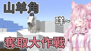 【博衣こより】郊狼VS山羊  koyori能不能拿到山羊角【Hololive中文翻譯】