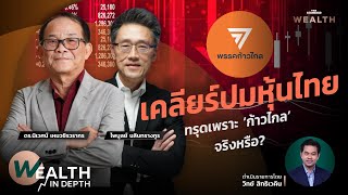 เคลียร์ปมหุ้นไทย ทรุดเพราะ ‘ก้าวไกล’ จริงหรือ? | WEALTH IN DEPTH #64