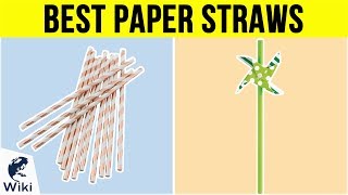 10 Best Paper Straws 2019