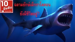 เม็กกาโลดอนฉลามยักษ์ยุคดึกดำบรรพ์ยังมีชีวิตอยู่?/ลึกลับ