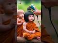 so cute little monk #shorts #shortsfeed  #so #cute 🔥🤯 #cute #shivi #baby #monk 🥰