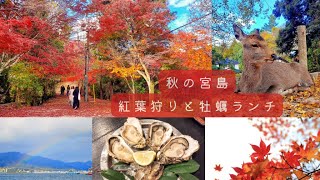 【Hiroshima・Miyajima day trip Vlog】Miyajima Autumn　leaves and delicious oyster lunch  Kaki-ya